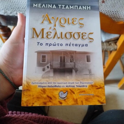 Book Άγριες Μέλισσες like new, Greek language