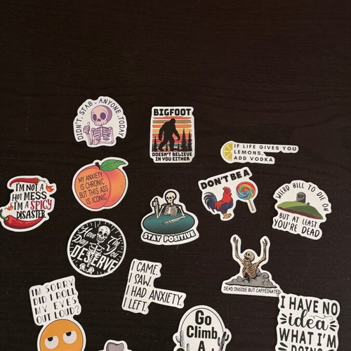 Funny Meme Sticker Bundle new, mixed designs