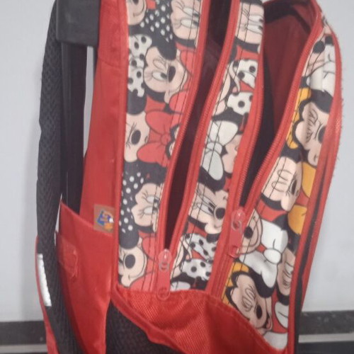 School bag for girls used, with wheels