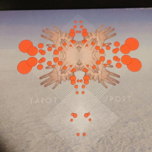 Fuck Buttons Tarot Sport CD like new, electronic
