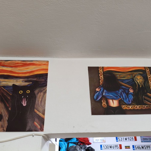 Canvas posters used, various sizes 30x40 to 50x100 cm