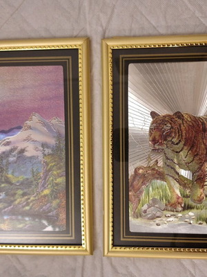 Vintage frames used, set of 2 with 3D effect and gold frame
