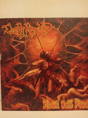 Death Reality Flesh Still Feeds vinyl LP used, death metal