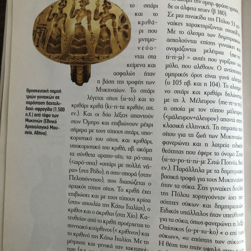 Historical book used about prehistoric times
