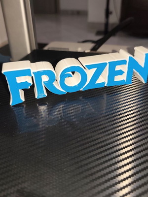 Disney Frozen 3D Printed Logo new, decorative
