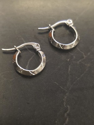 Stainless Steel Hoop Earrings new, silver color