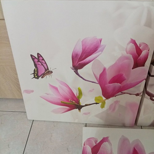 Pink Magnolia Canvas Photo Panel Set of 3