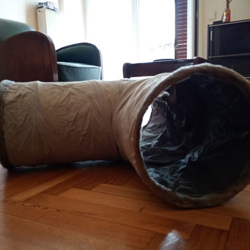 Cat items like new tunnel, scratching mat, and steam comb