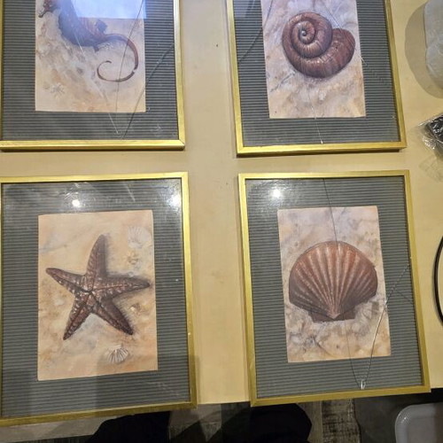 Set of 4 Seaside Themed Frames used with broken glass