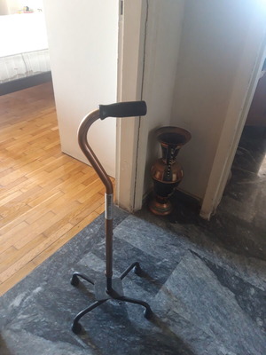 Modern low walking cane with square base