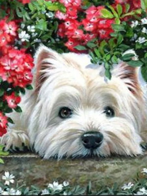 Diamond painting dog kit new, 25x25 cm, round rhinestones