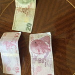 Lyra banknotes in excellent condition