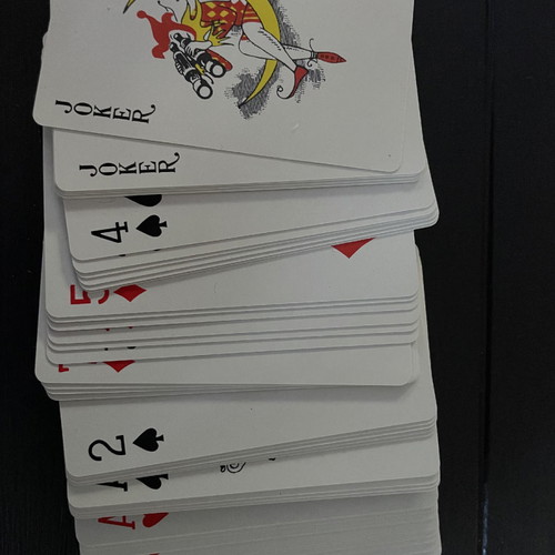 Playing cards used, 2 plastic decks, blue sealed