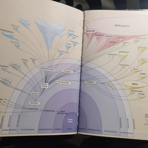 Zoology Complete Principles Volume I like new, Greek hardcover book