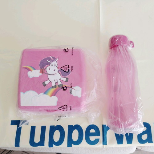 Tupperware kids sets new for sandwiches and water bottles