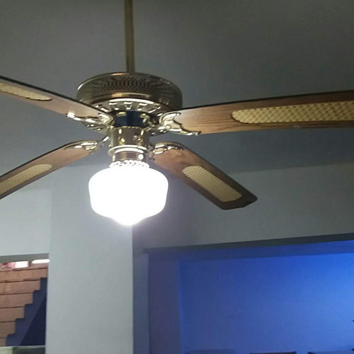 Ceiling fan used with light fixture