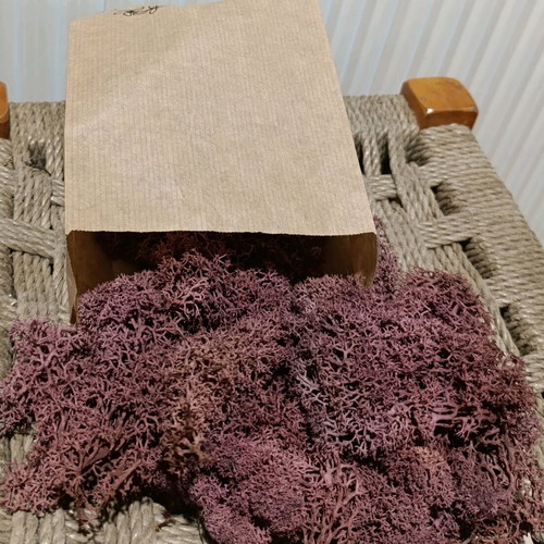 Decorative moss new, ideal for terrariums and DIY projects
