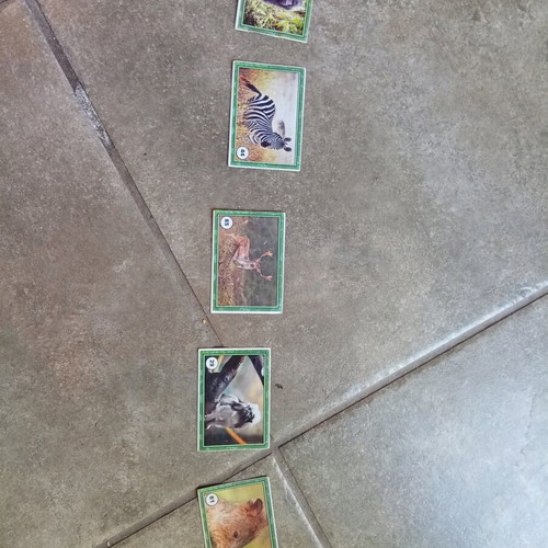 Pokemon and other used cards