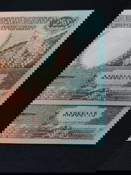 SURINAME. 1988. 250 GOLDEN.
