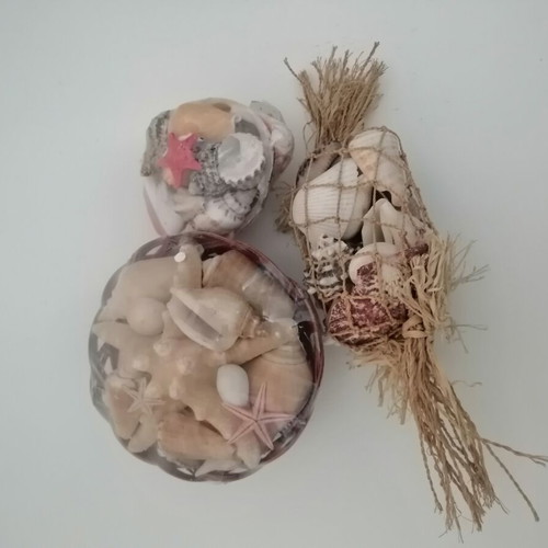Decorative seashells set with bamboo basket and natural shells