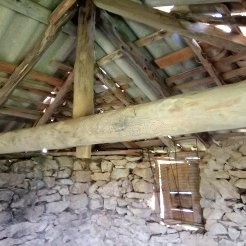 Building land with olive trees in Messinia, Petalidi Achladochori