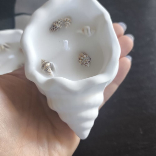 Decorative Plaster Seashells Set of 3 New