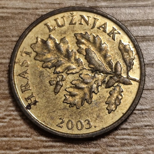 Croatian 5 Lipa coin 2003 used with oak leaf design
