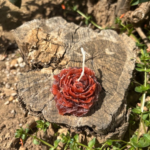 Rose Candle Passion Red new