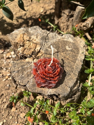 Rose Candle Passion Red new