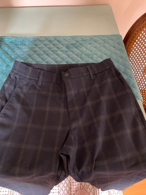 Men's blue checkered Zara pants new, size S