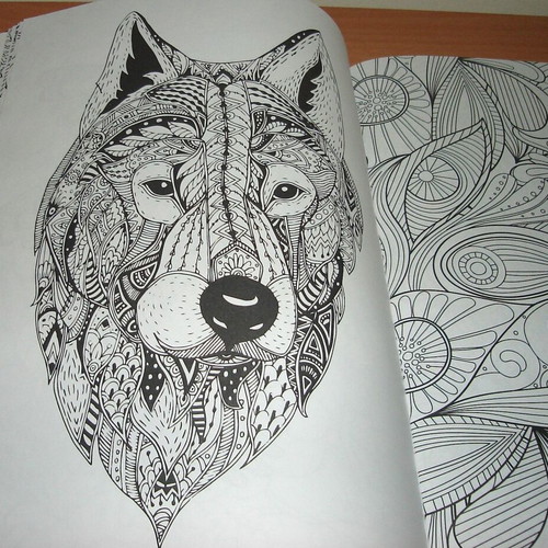 Anti-Stress Coloring Book for Children and Adults like new