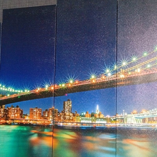 5 Piece Canvas Picture Like New
