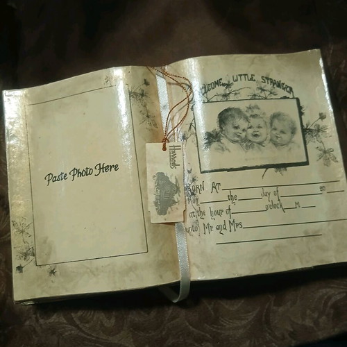 Vintage Harrods photo box new with tag