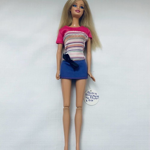 Potty Training Taffy Barbie Doll and Pet Playset used