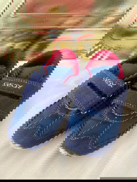 n 24, Geox, boys sneakers