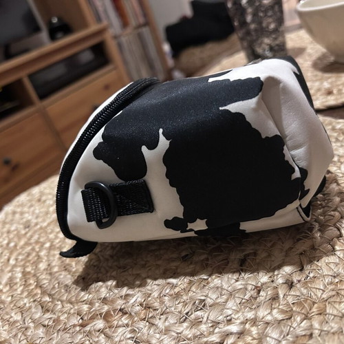 Camera case with internal compartments