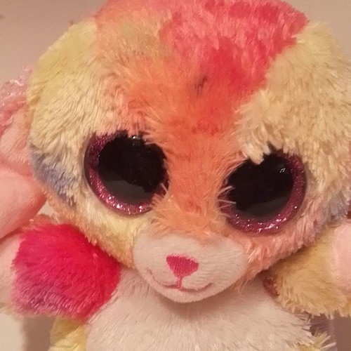 Animotsu Rainbow Plush Puppy used