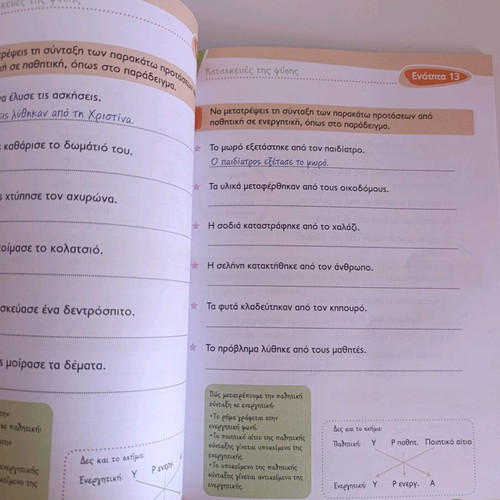 Language Workbook Grade 5 Primary School Volume B new