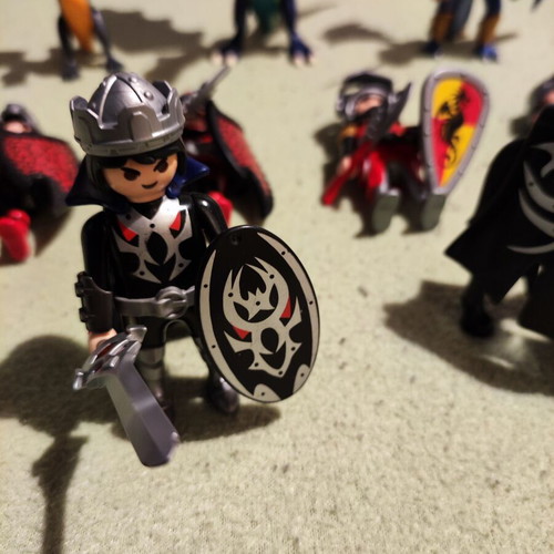 Playmobil Dragon Warriors and Dragons collection like new