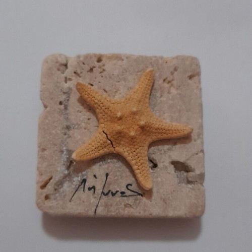 Handmade magnet from Limnos with natural porous stone and dried starfish
