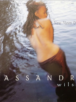 New Moon Daughter Cassandra Wilson 2× Vinyl LP album like new
