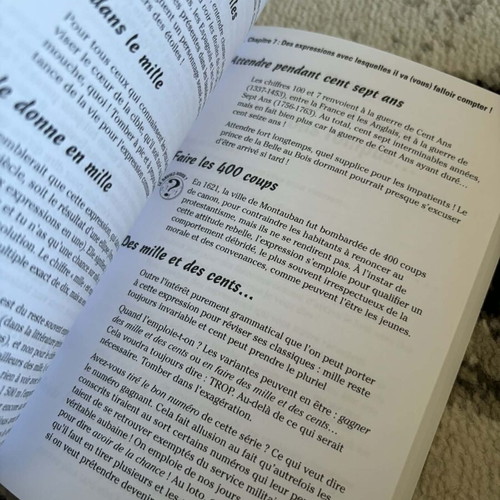 Book Les Expressions francaises pour les nuls like new