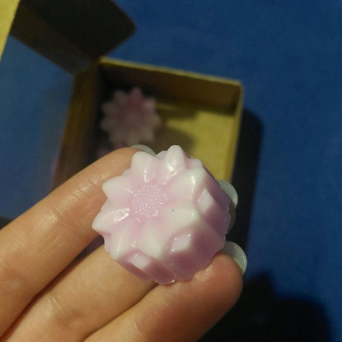 Soy wax melts, 6 pieces with apple cinnamon scent