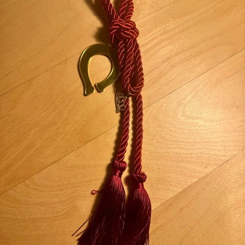 Good Luck Charm new