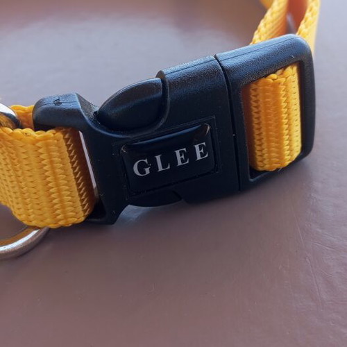 Glee Adjustable Yellow Pet Collar like new
