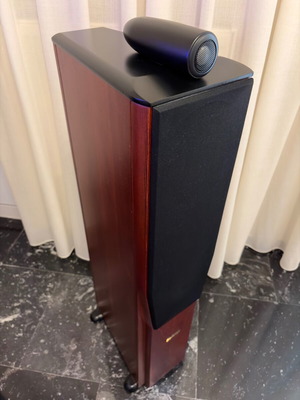 Roister Status 8 floor-standing speakers like new, solid beech wood