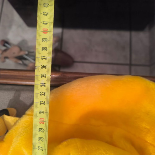 Winnie plush backpack like new
