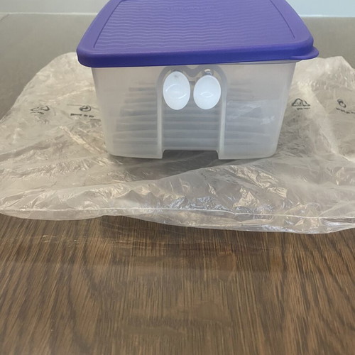 Tupperware Smart Cooling Container 1lt new