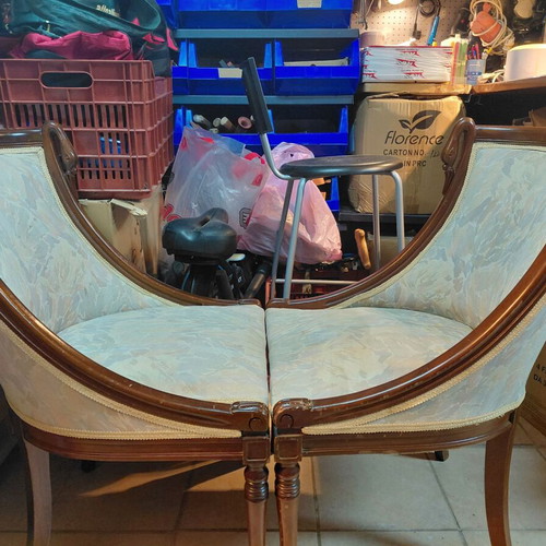 Swan living room chairs like new, set of 2 with carved wood and fabric