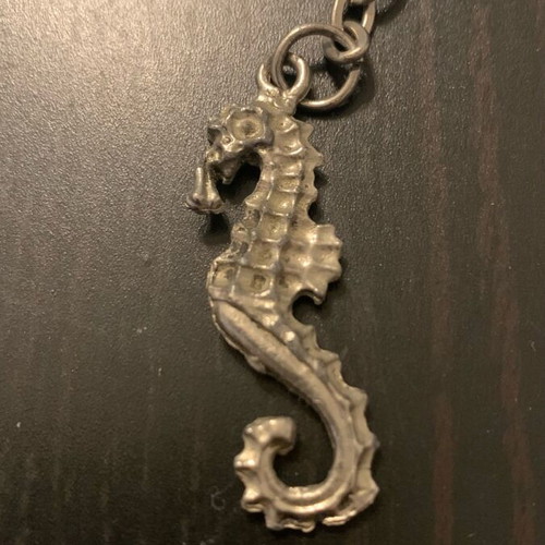 Seahorse pendant used